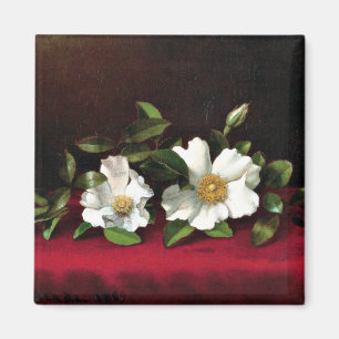 Imã Dois Rosas Cherokee no Red Velvet,