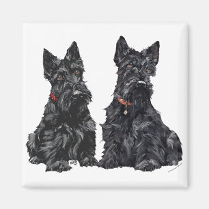 Imã Dois Scottish Terriers Pretos