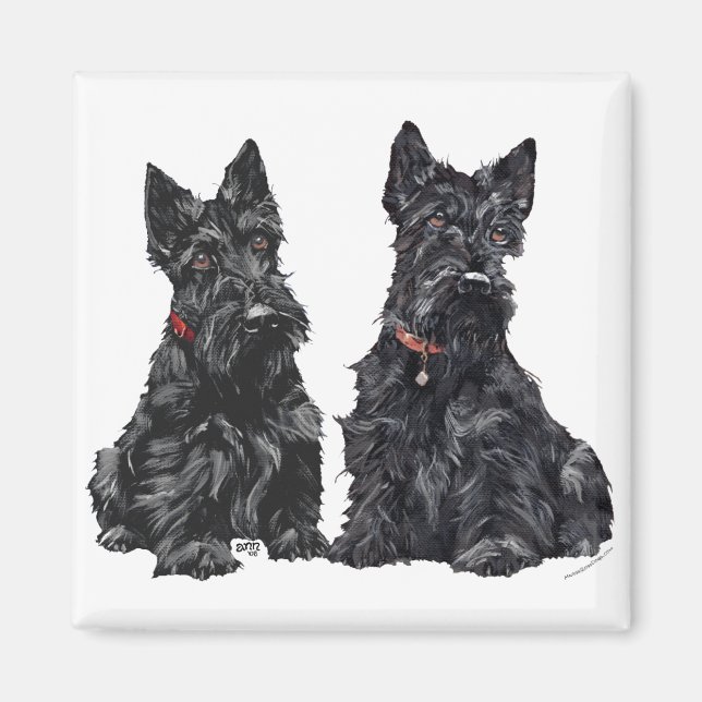 Imã Dois Scottish Terriers Pretos (Frente)