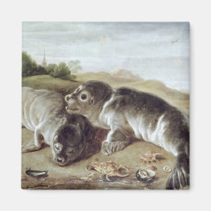Imã Dois selos novos na costa, c.1650