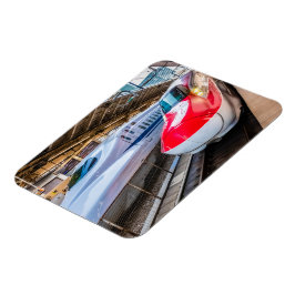 Ímã Dois Shinkansen na Estação de Tóquio