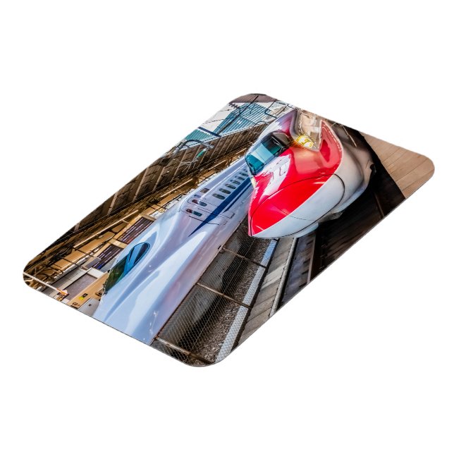 Ímã Dois Shinkansen na Estação de Tóquio (Left Side)