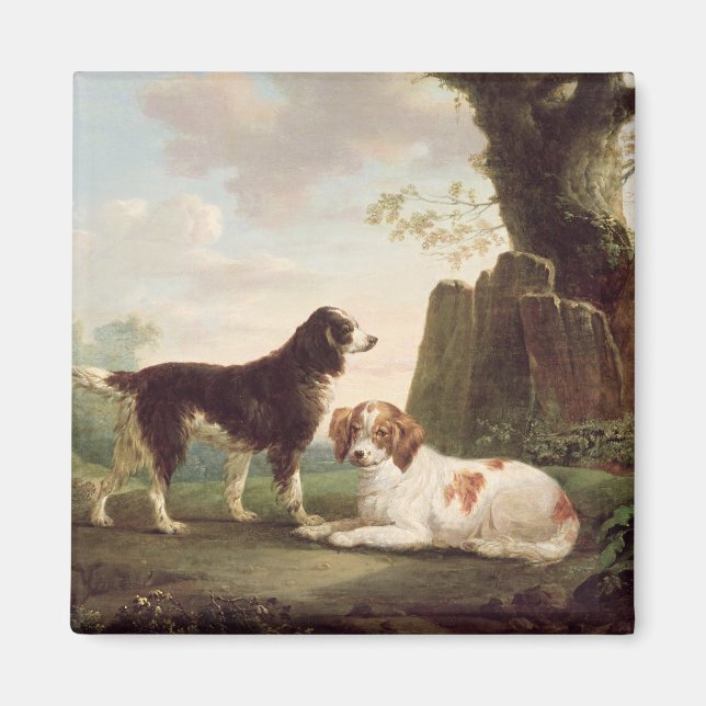 Imã Dois spaniels numa paisagem (Frente)