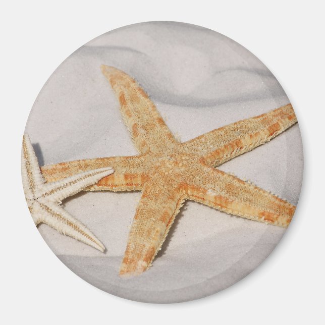 Imã Dois Starfish na Areia (Frente)