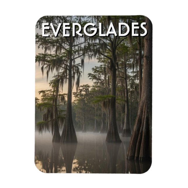 Ímã Dome de Cipreste Everglades Parque Nacional Flórid (Vertical)
