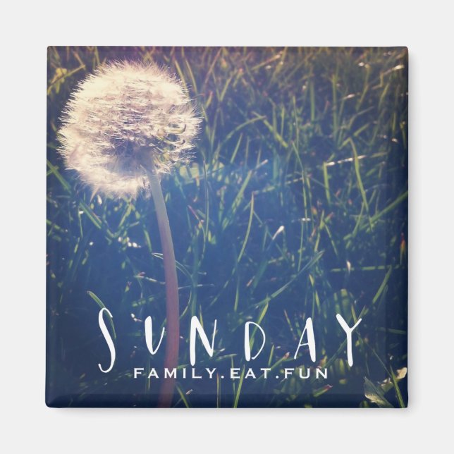 Imã Domingo Família coma diversão (Frente)