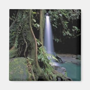 Imã Dominica, Lago Esmeralda, Cachoeira.