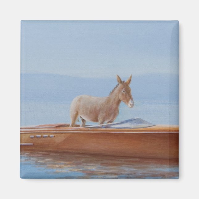 Imã Donkey em uma Riva 2010 (Frente)