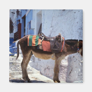 Imã Donkey, Fira Santorini, Grécia