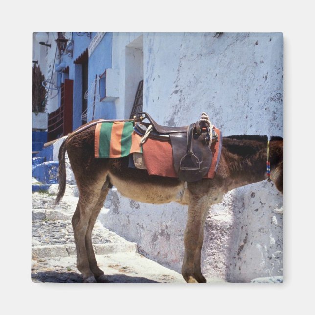 Imã Donkey, Fira Santorini, Grécia (Frente)