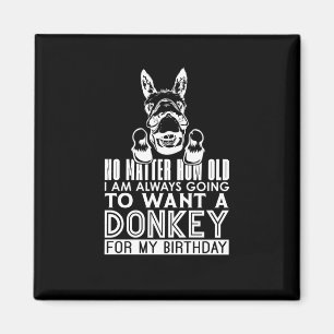 Imã Donkey Não Quão Velho Eu Sou Os Animais Donkey Atr