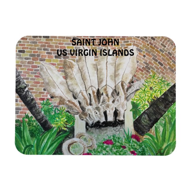 Ímã Donkeys Magnet (Horizontal)