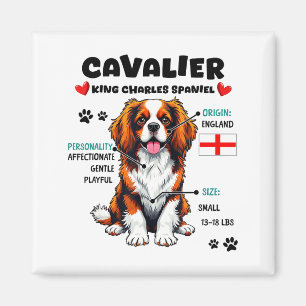 Imã Dono de Cavalier King Charles Spaniel Amor por Cac