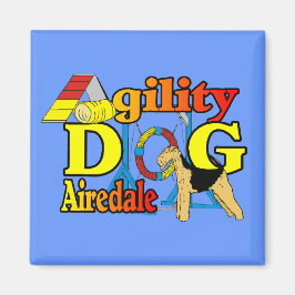 Imã Dons de Airedale_Agilidade