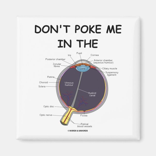 Imã Dont Ke Me In The Eye Eye Anatomy Attitude  (Frente)