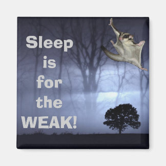 Imã Dormir é para o WEAK!