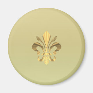 Imã Dourado pulso de raias