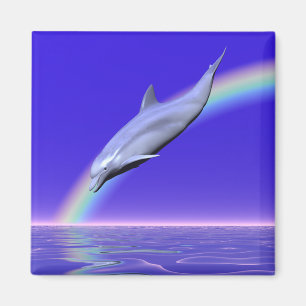 Imã Download do Dolphin