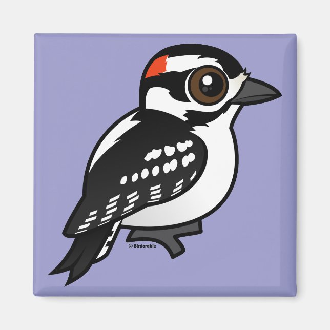 Imã Downy Woodpecker (Frente)