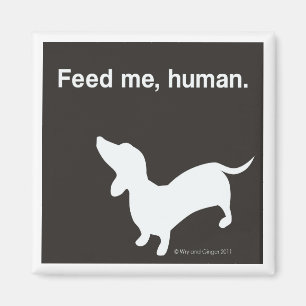 Imã Doxie alimenta-me o preto do ímã