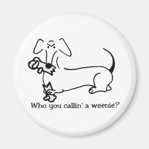 Imã Doxitude Magnet