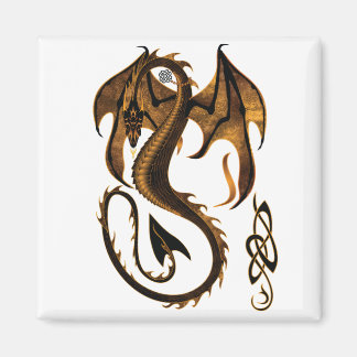 Imã dragão