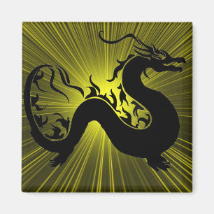 Imã Dragão Asiático