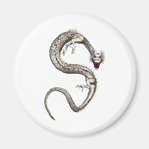 Imã Dragão branco