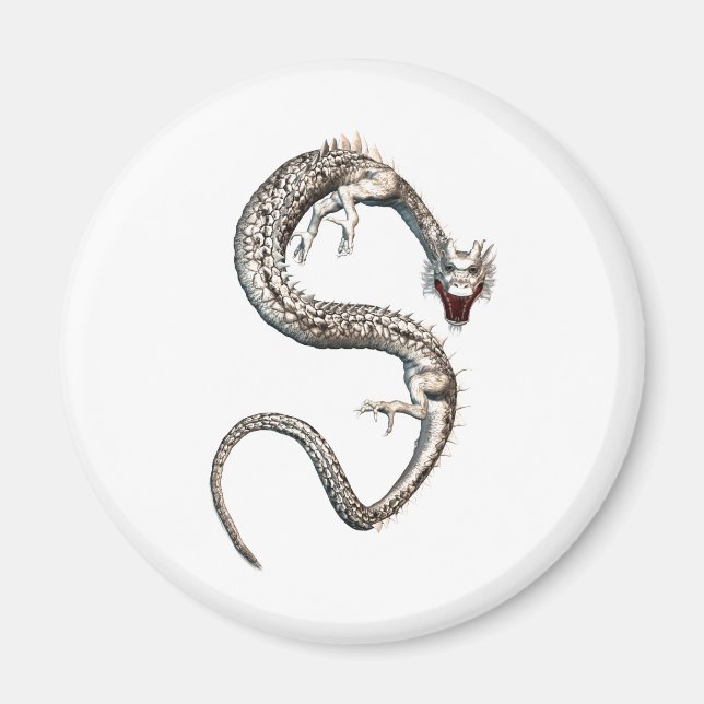 Imã Dragão Branco (Frente)