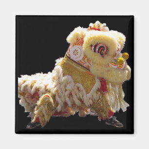 Imã Dragão chinês