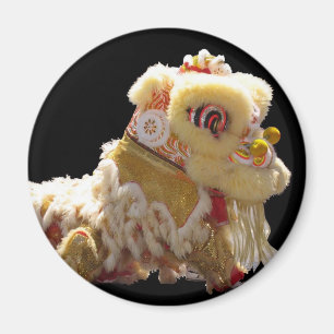 Imã Dragão Chinês