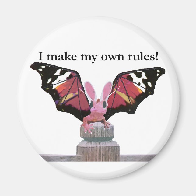 Imã Dragão Com Ouvidos Coelhinhos (Frente)