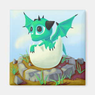 Imã Dragão do bebê