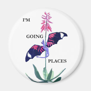 Imã Dragão e cacto