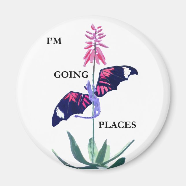 Imã Dragão e Cactus (Frente)