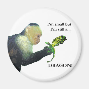 Imã Dragão e Macaco