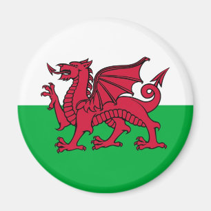 Imã Dragão Galês