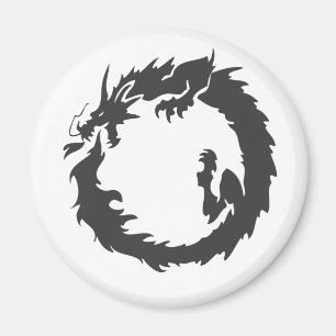 Imã Dragão Infinito