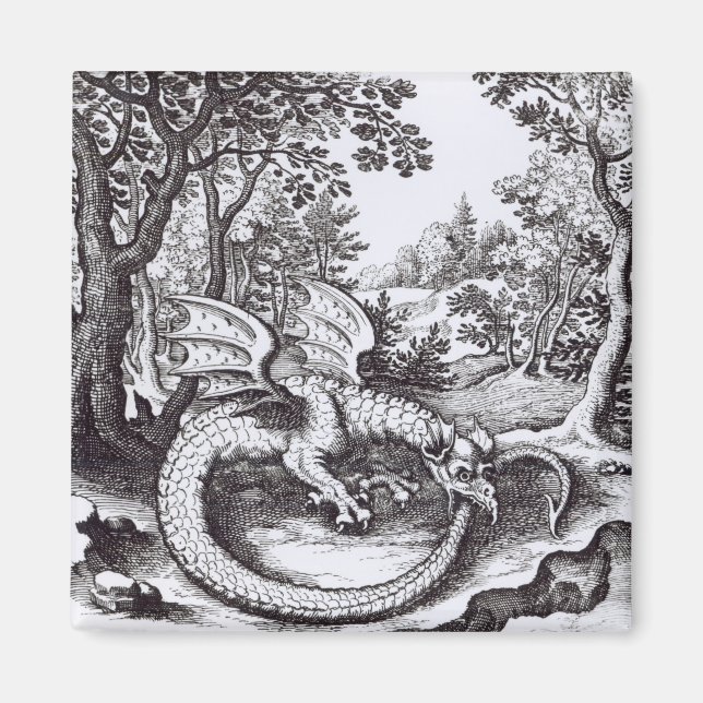 Imã Dragão na Floresta (Frente)