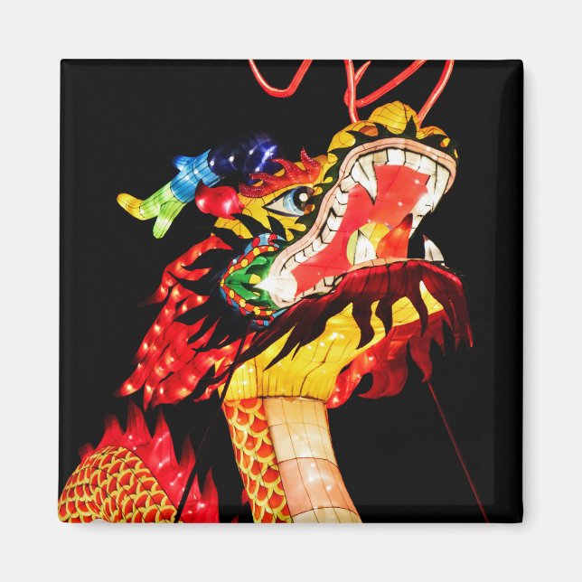 Imã Dragão Tianlong (Frente)
