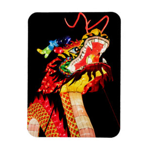 Ímã Dragão Tianlong