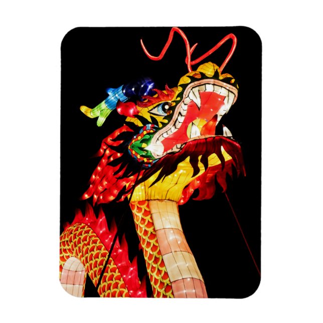 Ímã Dragão Tianlong (Vertical)