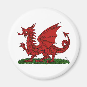 Imã Dragão Vermelho do País de Gales