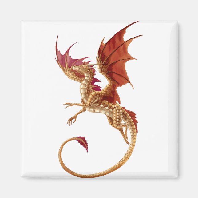Imã dragão voador (Frente)