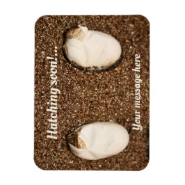 Ímã Dragões Carninhos Atacando!