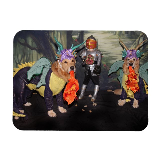 Ímã Dragões de Proteção contra Incêndios de Retriever  (Horizontal)