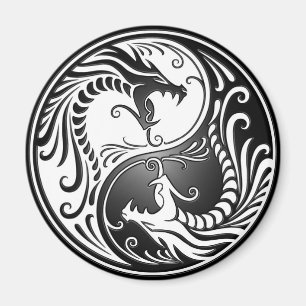 Imã Dragões de Yin Yang