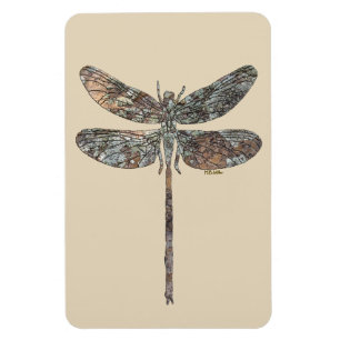 Ímã Dragon Fly