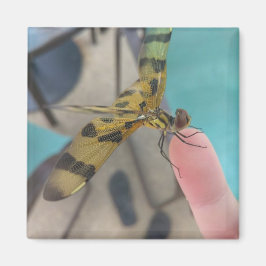 Imã Dragon Fly