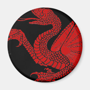Imã Dragon Magnet